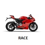 Panigale V2 / V2S 20-24 (race only)