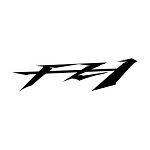 FZ1 06-15