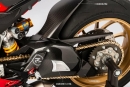 LighTech Carbon Hinterradabdeckung Ducati Panigale V4/S / Streetfighter V4