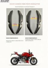 Wasserkühler Blenden carbon Ducati Streetfighter V4 - Hehl-Racing Onl,  214,20 €