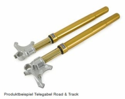 Telegabel Road & Track FGRT 219 - Yamaha YZF R1 15- / R6 17- / MT10 16-